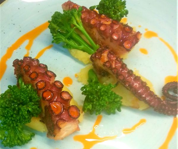 OCTOPUS